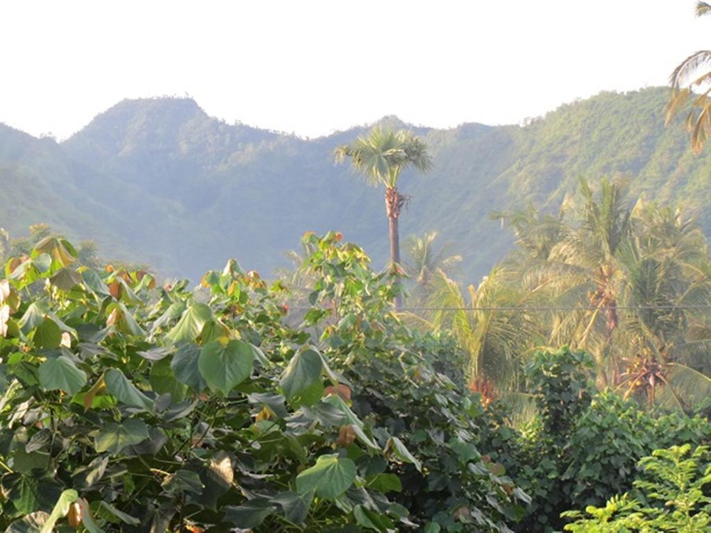 אמד Bali Sari Homestay מראה חיצוני תמונה