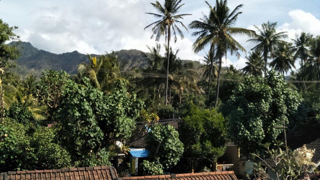 אמד Bali Sari Homestay מראה חיצוני תמונה